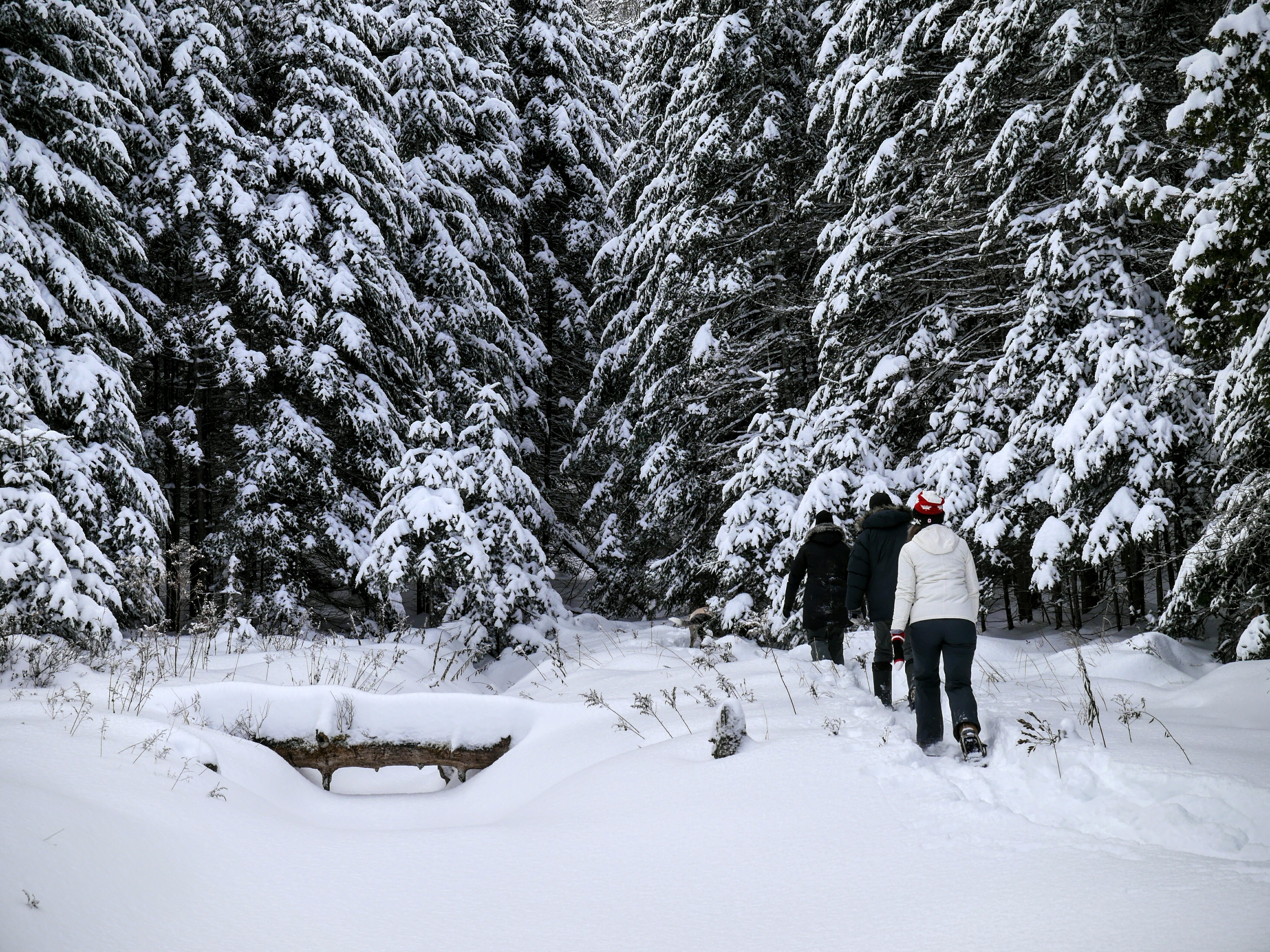 Snowshoeing