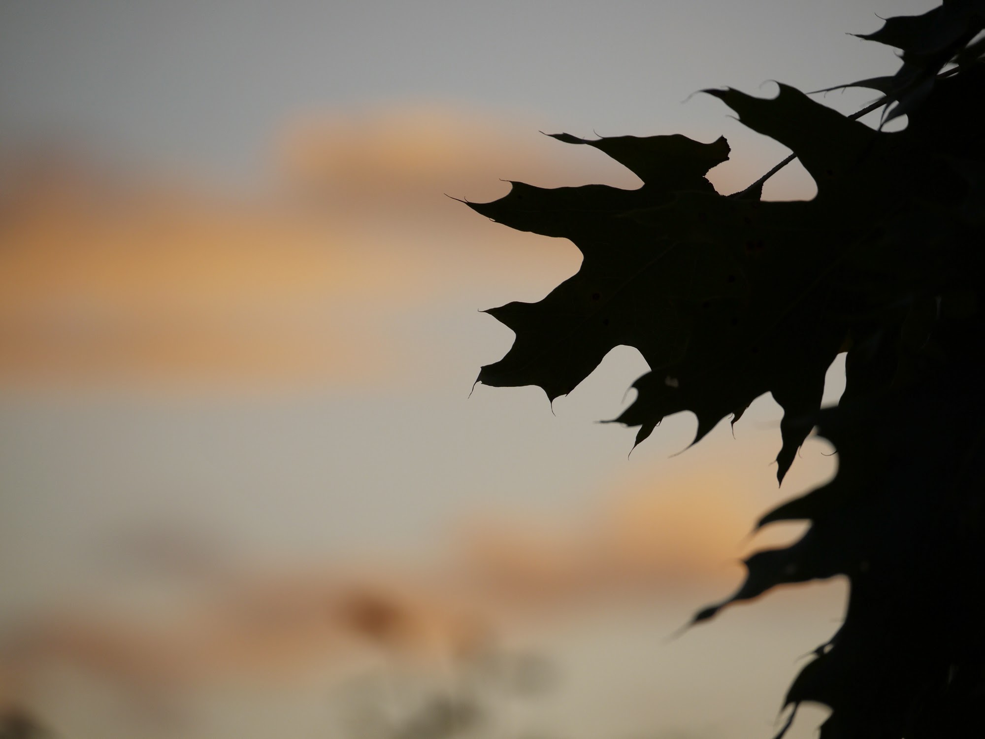 Dusk